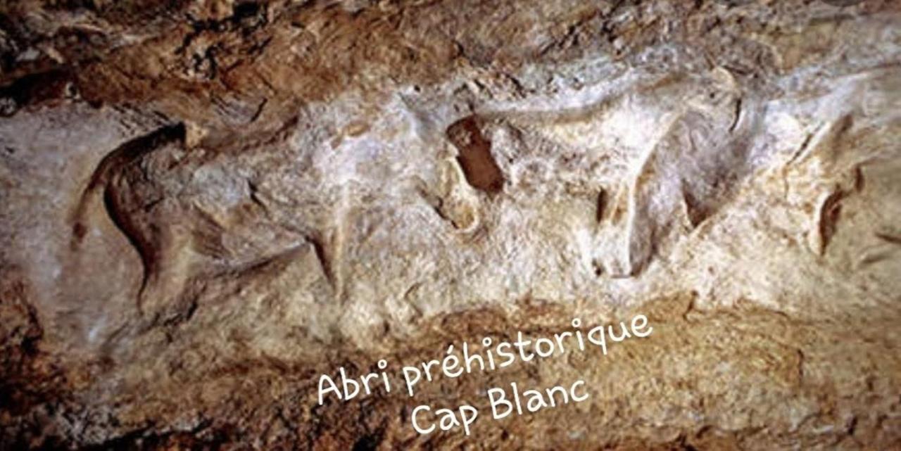 Chateau De L Herm, Lascaux, Sarlat, En Perigord Noir Rouffignac Saint-Cernin Εξωτερικό φωτογραφία